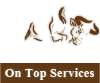 On Top Services